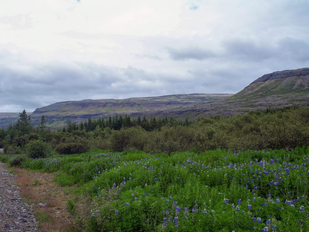 Iceland nature